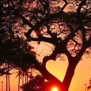 Meet your Posher, Carole